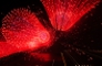 4th of July Fireworks.