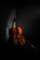 Light painting of a violin.